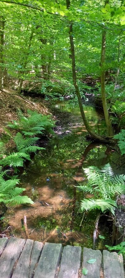 'T Uiltje Villa Ermelo Exteriör bild