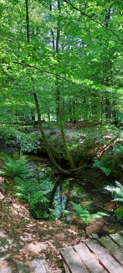 'T Uiltje Villa Ermelo Exteriör bild